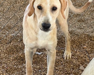 Health Vaccinations up to date.. Young Male Medium