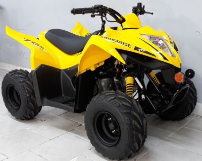 New ATV mongoose 70cc kids quad