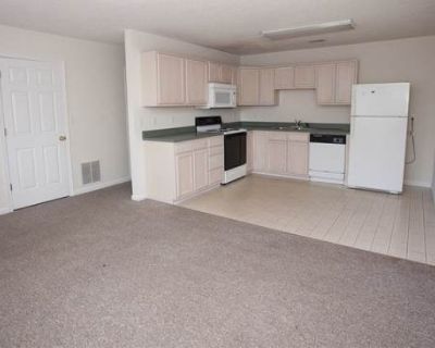 3 Bedroom 4BA 0 ft Pet-Friendly Apartment For Rent in Harrisonburg, VA