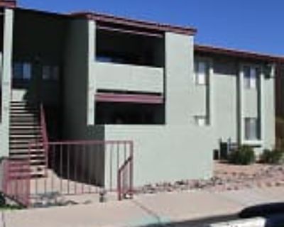 2 Bedroom 2BA 868 ft² Apartment For Rent in Tucson, AZ 2166 N Pantano Rd #214