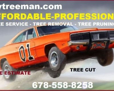 Tree Removal, Brush Removal, Debris Removal, Tree Trim, Tree Trimming, Tree Service,