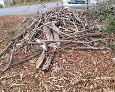 Free hardwood for firewood