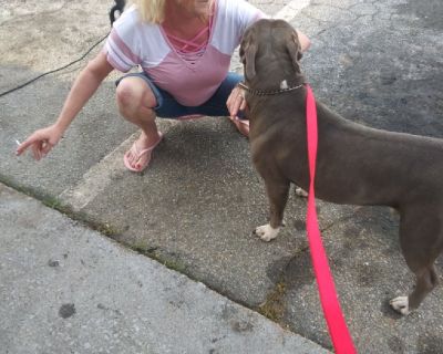 Just relocated . FT @ Baxter Westminster.
Recently widow and starting over