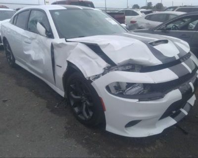 Salvage White 2019 Dodge Charger