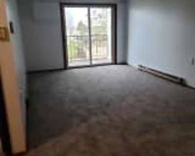 2 Bedroom 1BA 540 ft² Apartment For Rent in Livingston, WI 420 W Jackson St unit 204