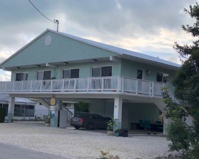 18 Palm Dr. image_url. In unit laundry Dishwasher Pet friendly Carport Stainless steel Air conditioning Unit Amenities air conditioning ceiling fan dishwasher furnished in unit laundry stainless steel Property Amenities cats allowed dogs allowed pet friendly carport parking. Pets allowed. 2 Bedroom. 4 Bathroom. 0 ft . Furnished