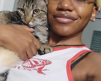 Quieda - Needs a Place on iROOMit or a Room