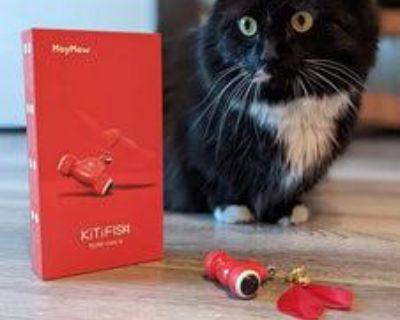 Smart Cat Toy: Unleash Your Cat's Inner Hunter with the Bionic Goldfish