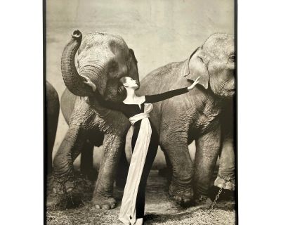 Richard Avedon Vintage 1978 Lithograph Photo Print Framed Iconic Mid Century Modern Exhibition Poster " Dovima With Elephants " 1955