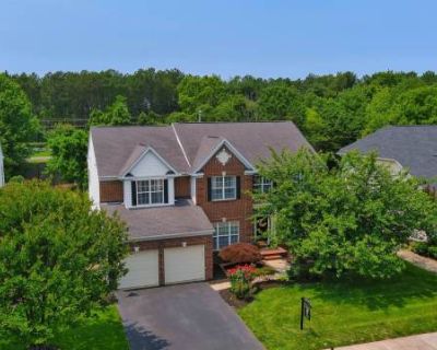 Spacious 5BR House in Haymarket, VA. image_url. In unit laundry Dishwasher Pet friendly Garage Air conditioning Playground Unit Amenities air conditioning carpet dishwasher extra storage garbage disposal in unit laundry microwave range refrigerator Property Amenities cats allowed dogs allowed pet friendly concierge on-site laundry parking playground garage. Pets allowed. 5 Bedroom. 3.5 Bathroom...
