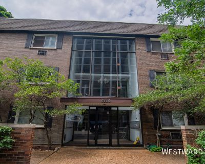 2 Bedroom 1BA Pet-Friendly Apartment For Rent in Chicago, IL