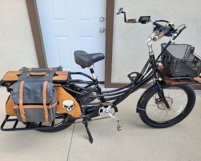 Craigslist 2025 pedego bike