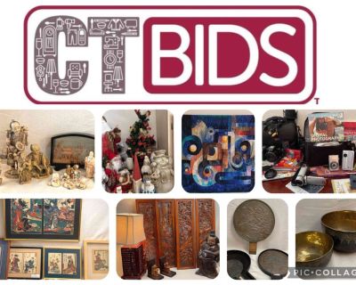 CTBIDS In-Home Online Auction | BILTMORE DR | Ends 12/05 PU Fri 12/08 | 85755