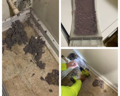 Professional dryer vent cleaning from $99. 678-668-9908