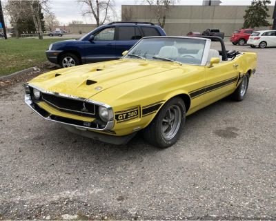 1969 Shelby GT350
