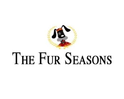 If you are looking for a pet care service, then The Fur Seasons provides the best pet care service in Stuart FL. We have a best and well-skilled caregiver that are experienced in providing Doggy Day Care, Bathing, Boarding, etc. Call us at 772-286-8283 to know more about our services.