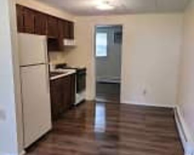 1 Bedroom 1BA 480 ft² Apartment For Rent in Rantoul, IL 345 North Dr unit 345-E