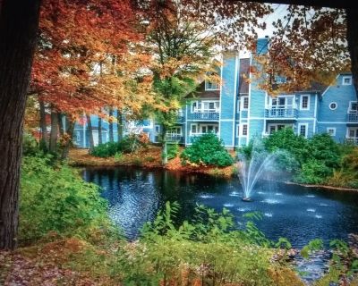 1 Bedroom 1BA 576 ft Furnished Studio For Rent in Norwich, CT