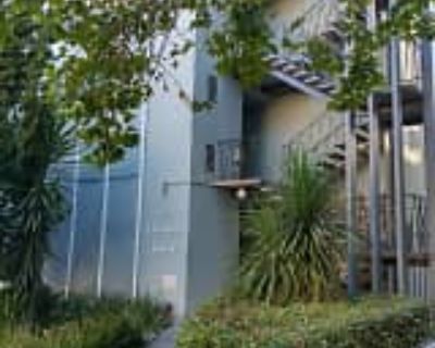 1 Bedroom 1BA 850 ft² Pet-Friendly Apartment For Rent in Oakland, CA 187 Montecito Ave