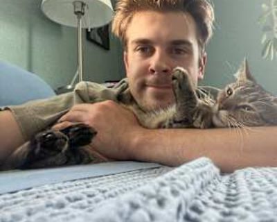 Jake, 25 years, Male. Looking in: Boston, Suffolk County, MA