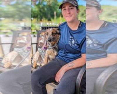 Adult * Location Lacombe, LA, 70445 USA USA *. Posted Breed: Australian Cattle Dog/Blue Heeler (medium coat). Physical Attributes Coat Length: Medium Additional Information Was the Dog Found No