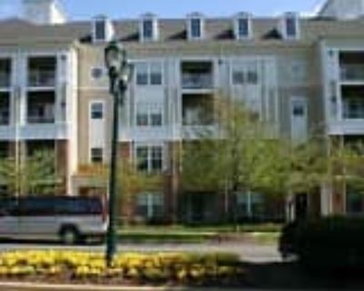 2 Bedroom 2BA 990 ft² Pet-Friendly Apartment For Rent in Rockville, MD 100 Watkins Pond Blvd #104