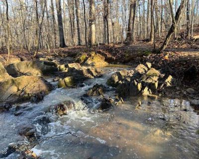 Unimproved Land For Sale in CHAPEL HILL, NC