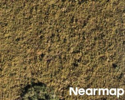 Foreclosure Property in Carencro, LA 70520 - Dr