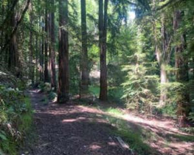 43592 ft Unimproved Land For Sale in MILL VALLEY, CA