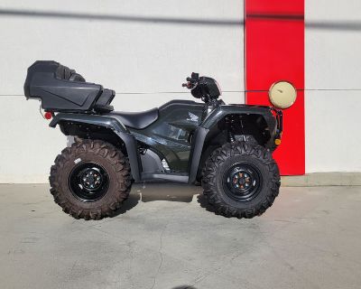 2024 Honda FourTrax Foreman Rubicon 4x4 Automatic DCT EPS