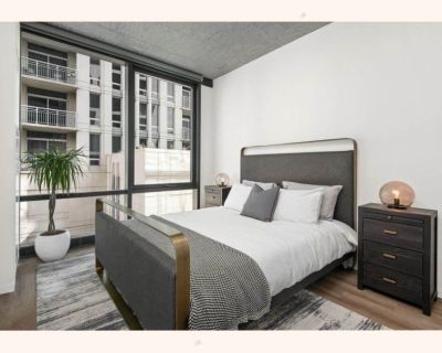 Boutique South Loop 2 Bedroom/2 Bath