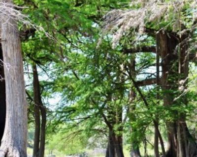 Bloodhound Trl, Sisterdale, Farm House For