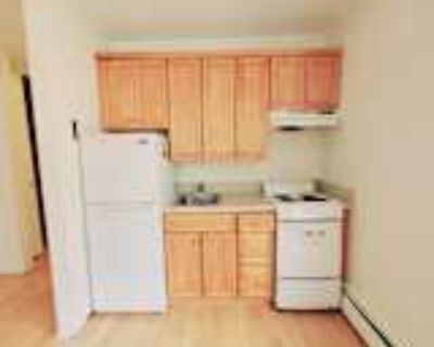 1 Bedroom 1BA 510 ft² Pet-Friendly Apartment For Rent in Stamford, CT 388 Courtland Ave unit 1