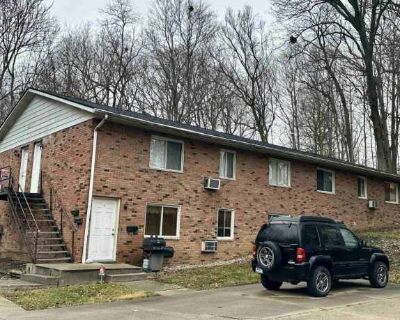 1 Bedroom 1BA 620 ft Pet-Friendly Apartment For Rent in Delphi, IN