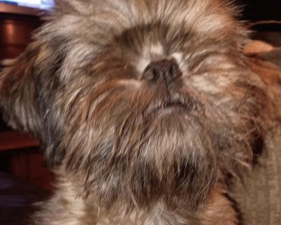 Meet Odie Jo! Odie Jo is a very sweet dog who is patiently waiting for a loving forever home! To get more information on Odie Jo, please visit: https://lovesecondchances.org/adoptables/adoptable/odie-jo/ Adoption fee includes spay/neuter, up to date on shots, deworming and microchipping. If you are interested in Odie Jo, please fill out an application online at: https://lovesecondchances.org/ap...