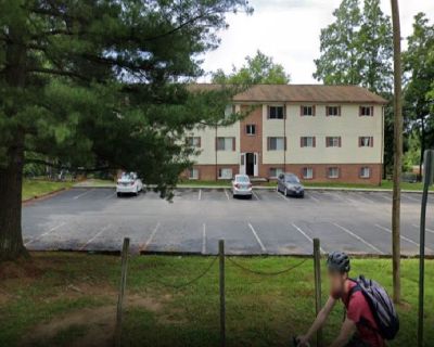 $480 / 1br - Sublease of one-bedroom of two-bedroom apartment (Center Street Area - Blacksburg)