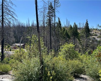 Lots and Land For Sale in Berry Creek, CA