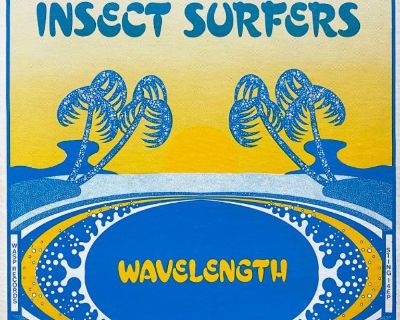 Insect Surfers – "Wavelength" 1980 Lp