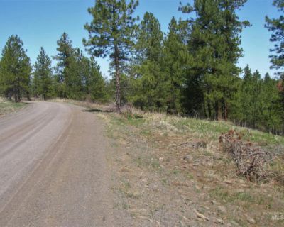 Land For Sale in CottonWood, ID