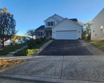 3 Bedroom 2.5BA 2480 ft Pet-Friendly Apartment For Rent in Newark, OH