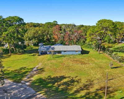 3 Bedroom 2BA 2185 ft Single Family House For Sale in Land O Lakes, FL