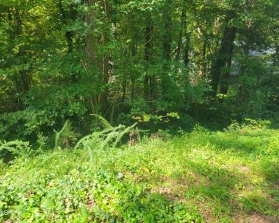 Unimproved Land For Sale in MEBANE, NC