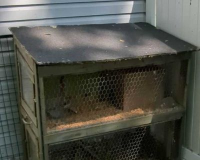 rabbit/animal cage
