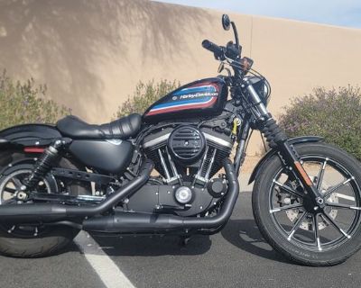 2019 Harley-Davidson XL 883N - Sportster Iron 883