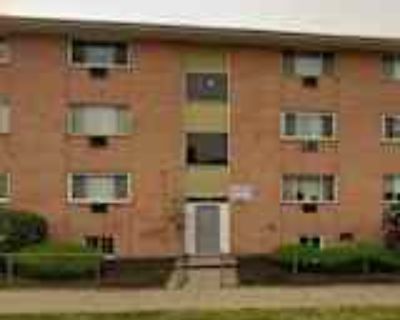 1 Bedroom 1BA 9590 ft² House For Rent in Bridgeport, CT 1795 North Ave unit 1