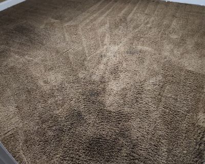 Reliable, tidy, and chill your ideal roommate. I bring positive vibes and a commitment to harmony in shared spaces. Choosing me as your roommate means having someone reliable, tidy, and easygoing. I prioritize open communication and aim for a harmonious living space. Positive vibes and mutual respect are my keys to a great roommate dynamic.. 1 Bedroom. 1 Bathroom