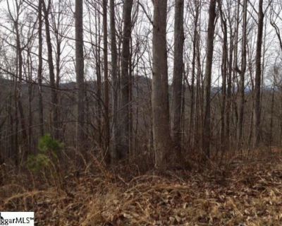Land For Sale in Travelers Rest, SC