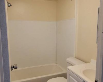 3 Bedroom 2BA 1000 ft Pet-Friendly Apartment For Rent in Baldwin County, AL