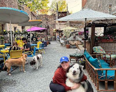 Budget: $700 per month. Ready to move: now. Looking for myself. I am currently looking for a room for rent. My current place has become untenable, and I am seeking a place to stay as soon as possible. It has not been easy finding a place that can take both me and my service dog named Zeus. He is a 12-year-old gentle giant who loves everyone and every dog, but does not like cats. He wants to say...