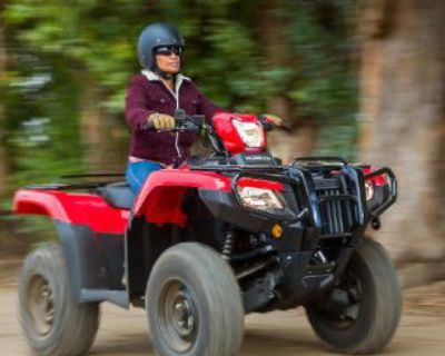 2025 Honda FOREMAN RUBICON 4X4 EPS